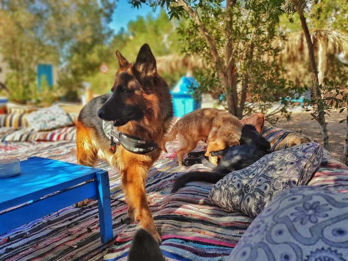 Campsite Elrayga Camp
