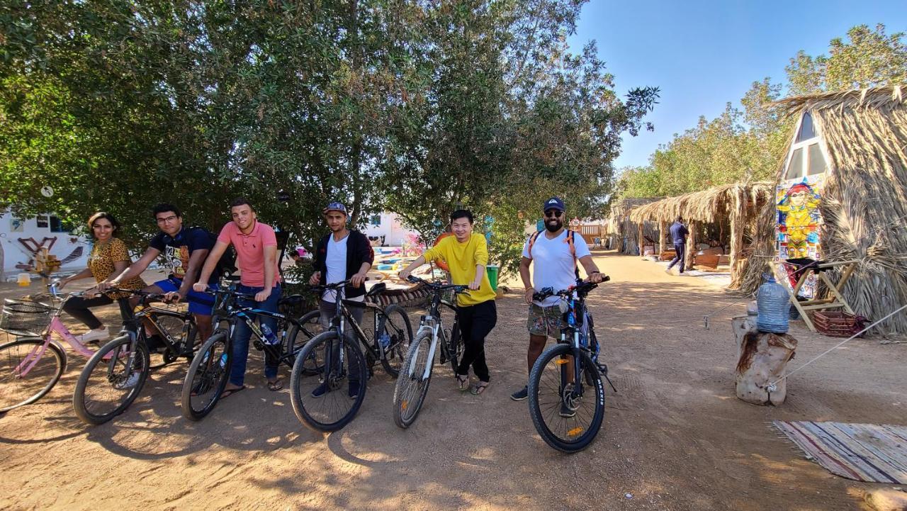 Elrayga Camp Campsite Dahab